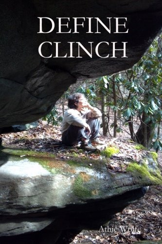 Define Clinch
