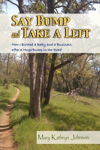 Say Bump and Take a Left How I Birthed a Baby and a Business After a Huge Bump in the Road