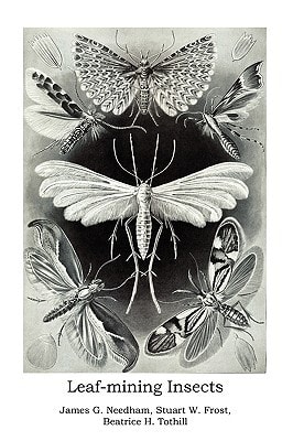 Leaf-mining Insects