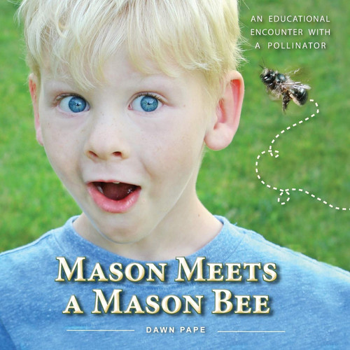 Mason Meets a Mason Bee An Educational Encounter with a Pollinator