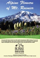 Alpine Flowers of Mt. Rainier Revised Edition
