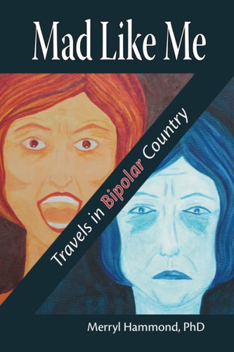 Mad Like Me Travels in Bipolar Country