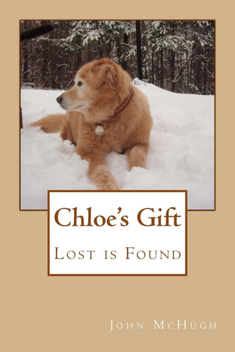 Chloe's Gift Lost is Found