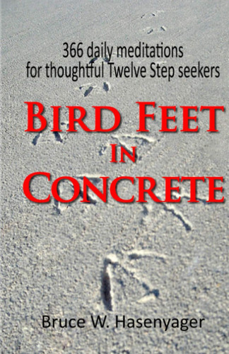 Bird Feet In Concrete 366 Daily Meditations for Thoughtful Twelve Step Seekers