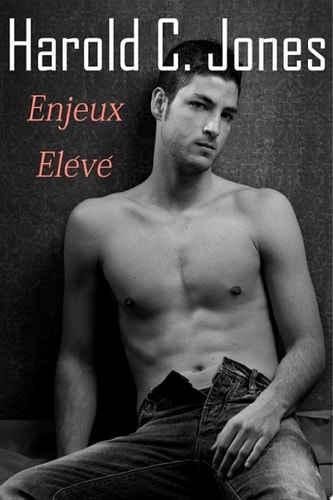Enjeux Elévé