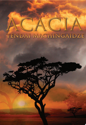 Acacia