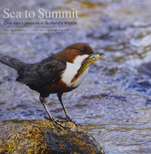 Sea to Summit One Man's Pleasure in Scotland's Wildlife