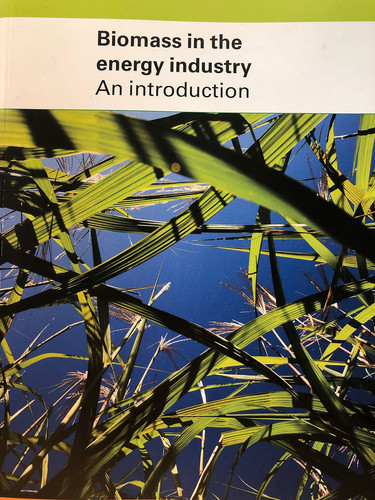 Biomass in the Energy Industry: An Introduction