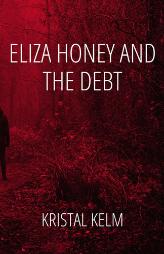 Eliza Honey and The Debt (The Eliza Honey Series)