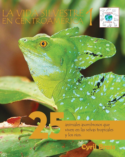 La Vida Silvestre en Centroamerica 1 25 Animales Asombrosos Que Viven en Las Selvas Tropicales y Los Rios