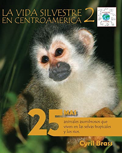 La Vida Silvestre en Centroamerica 2 25 Mas Animales Asombrosos Que Viven en Las Selvas Tropicales y Los Rios