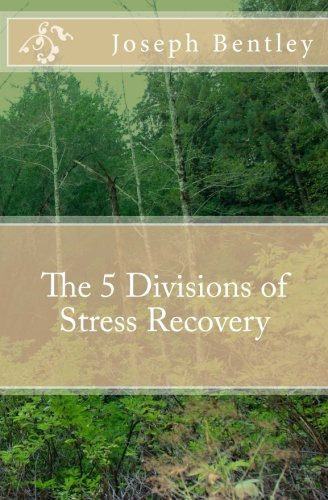 The 5 Divisions of Stress Recovery