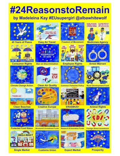 24 Reasons to Remain