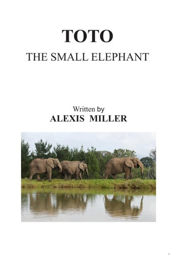 Toto The Small Elephant