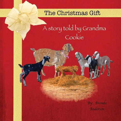 The Christmas Gift A Story Told by Grandma Cookie
