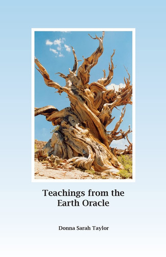 Teachings from the Earth Oracle Earth Centered Spirituality