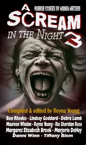 A Scream in the Night 3