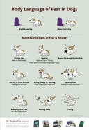 Body Language of Fear in Dogs