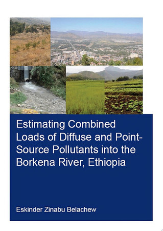 Estimating combined loads of diffuse and point-source pollutants into the Borkena River, Ethiopia