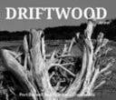 Driftwood Port Burwell Beach Lake Erie Canada