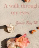 A Walk Through My Eyes