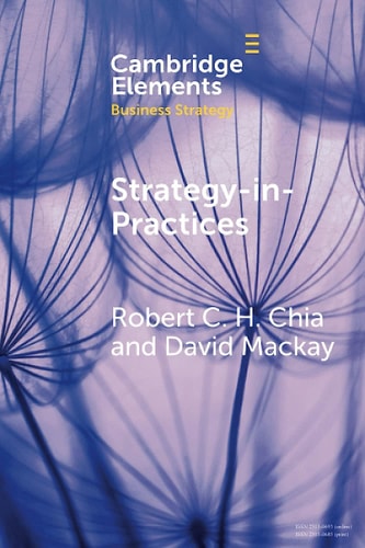 Strategy-In-Practices A Process-Philosophical Perspective on Strategy-Making