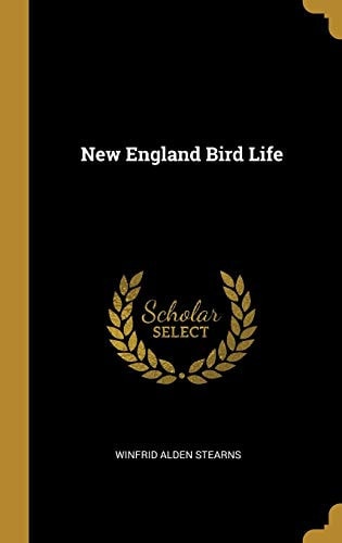 New England Bird Life