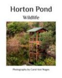 Horton Pond