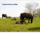 Parque Natural Del Gorbea