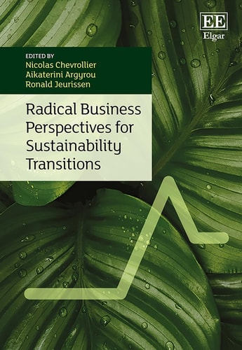 Radical Business Perspectives for Sustainability Transitions