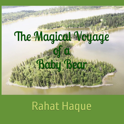 The Magical Voyage of a Baby Bear