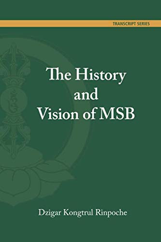 The History and Vision of MSB