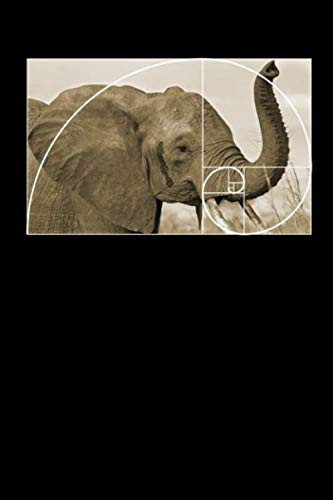 Fibonacci Elephant: Graph Notebook | Funny Math Humor Fibonacci Pi Day Golden Ratio Quad Ruled 5 Squares Per Inch, Notebooks For Students (6" X 9")