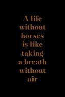A Life Without Horses Is Like Taking a Breath Without Air Blank Lined Notebook