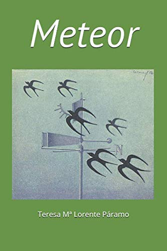 Meteor (Spanish Edition)