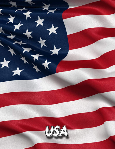 USA: American Flag | Composition Book 150 pages 8.5 x 11 in. | College Ruled | Writing Notebook | Lined Paper | Soft Cover | Plain Journal