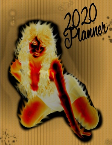 2020 Planner Original Sarcastic Humor Perfect Appreciation Gag Gift for Coworker, Joke Diary for Adults, Ideal Chaos Coordinator to Get Shit Done