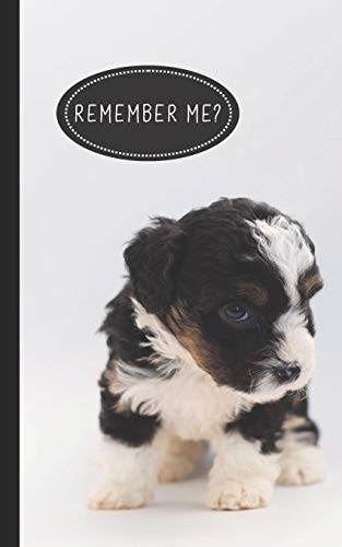Remember Me? Discreet Internet Password Organizer - Store Websites, Usernames, Passwords - Cute Puppy Dog Lovers