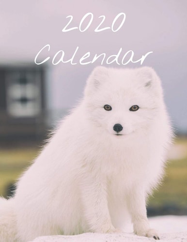 2020 Calendar Monthly 2020 Calendar with Cute Animal Pictures, Fluffy White Fox Cover
