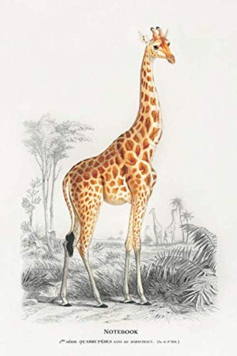 Notebook For Giraffe Lover. Vintage Drawing of Giraffe Gift. Blank Lined Notebook Planner Journal Diary. 6 X9