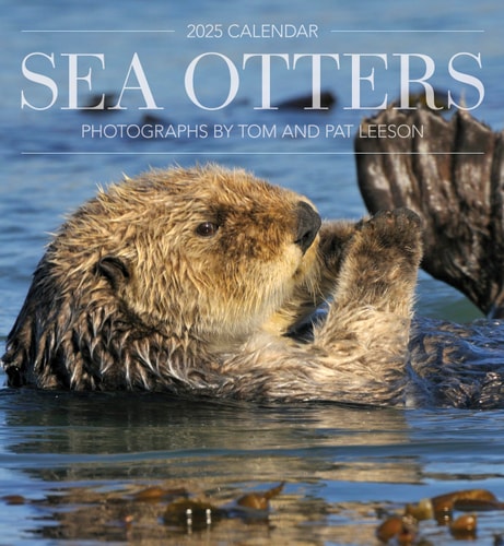 Sea Otters Photographs by Tom and Pat Leeson 2025 Wall Calendar