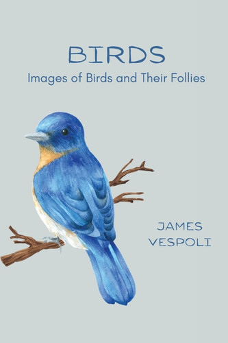 Birds Images of Birds and Their Follies