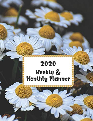 2020 Weekly & Monthly Planner: Calendar Schedule Organizer Agenda | Cute Daisy Flower Cover | January 2020 through December 2020 (8.5 x 11 - 2020 Lovely Pure Planners)