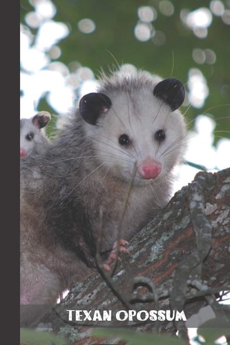 Texan Opossum Small Lined Opossum Notebook / Travel Journal to Write in (6'' X 9'') 120 Pages