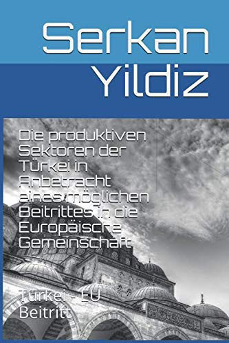 Die Produktiven Sektoren der Türkei in Anbetracht Eines Möglichen Beitrittes in Die Europäische Gemeinschaft Türkei - EU Beitritt