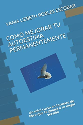 Como Mejorar Tu Autoestima Permanentemente Un Mini Curso En Formato de Libro Que Te Guiará a Tu Mejor Versión