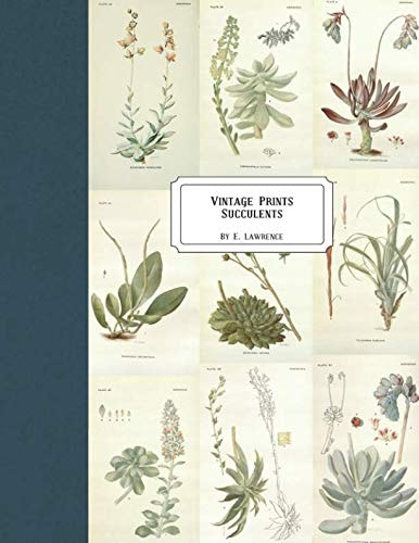 Vintage Prints: Succulents