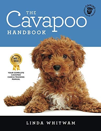 The Cavapoo Handbook The Essential Guide for New and Prospective Cavapoo Owners