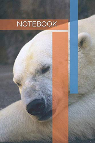 Polar Bear Notebook Notebook, Journal, Ruled, 100 Pages, Rough Note, Classwork, Home Work Note