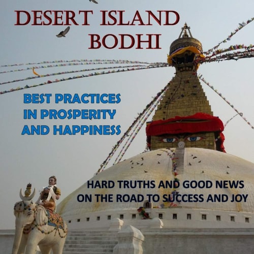 Desert Island Bodhi Best Practices in Prosperity and Happiness, Hard Truths on the Road to Success and Joy